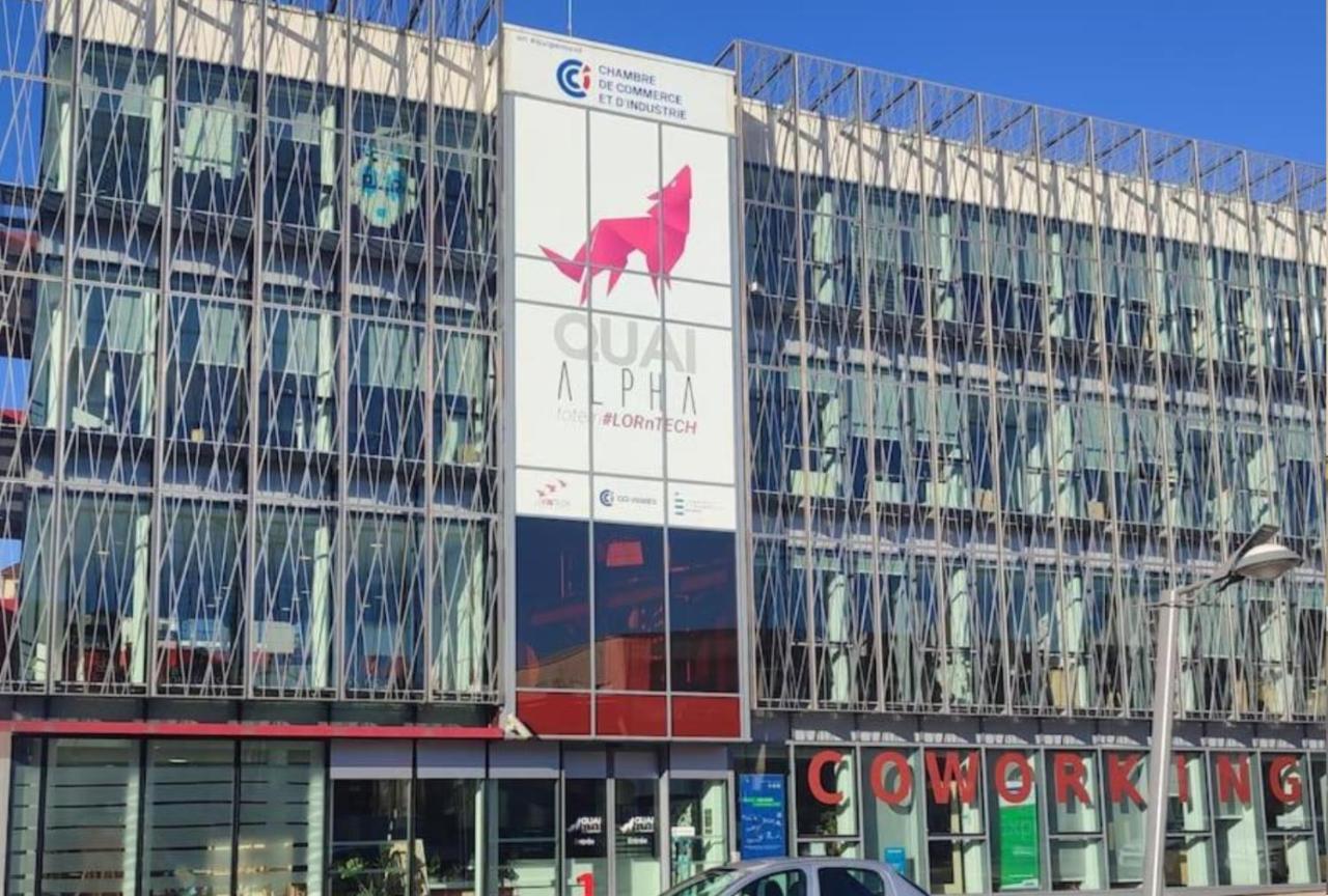 Logement Spacieux - Face A La Gare Et Centre-Ville Épinal Dış mekan fotoğraf